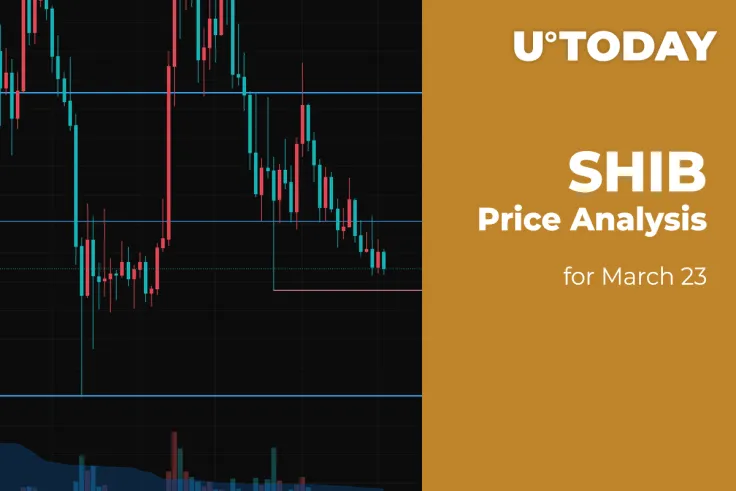 SHIB Price Analysis for March 23