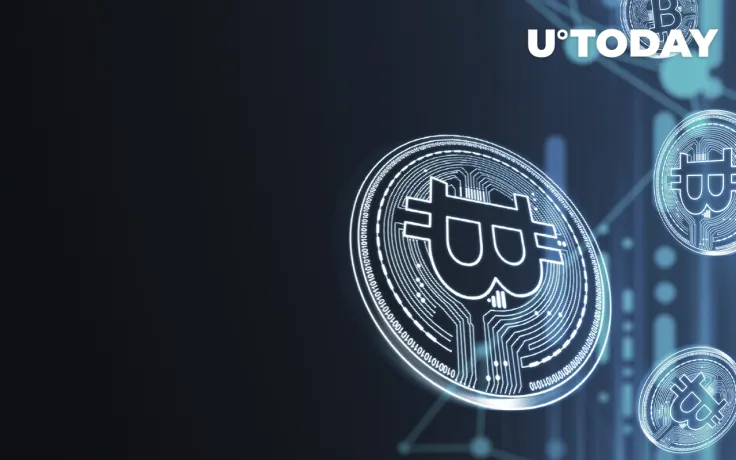 Bitcoin Broke New Record: 40 Million Holders and Counting