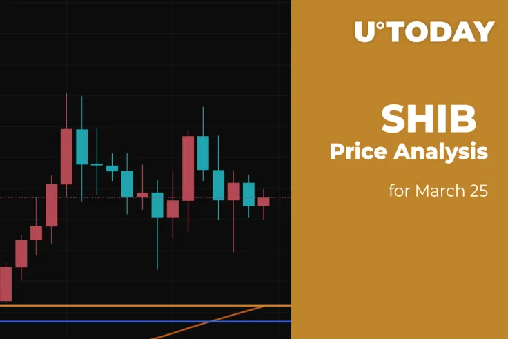 SHIB Price Analysis for March 25