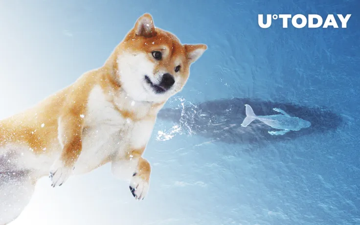 Shiba Inu Whale with 4 Trillion SHIB Increases Holdings; Here's What Was Bought