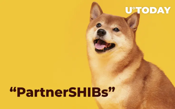 These Direct “PartnerSHIBs” Will Help SHIB Army Burn More Tokens: Details