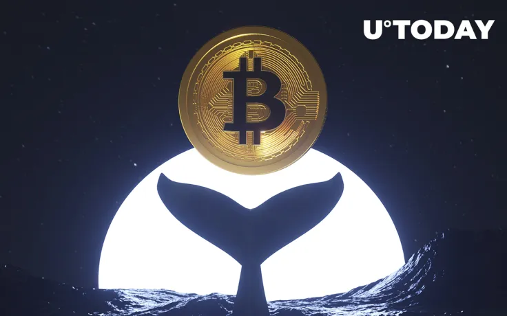 Dormant Bitcoin Whale Awakens After Almost 10 Years 