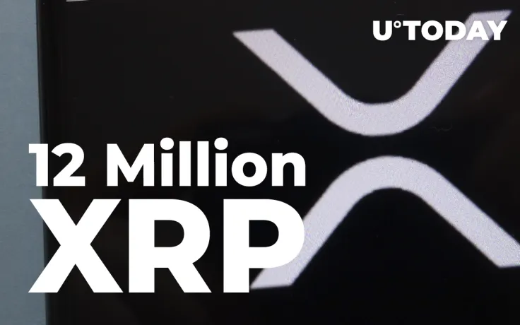 12 Million XRP Goes to Anon Address as XRP Remains Attractive for Investors