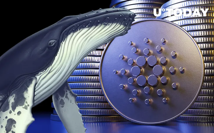 Cardano Sees Inflow of New Whales Since March – They Hold up to 12 Million ADA: Report