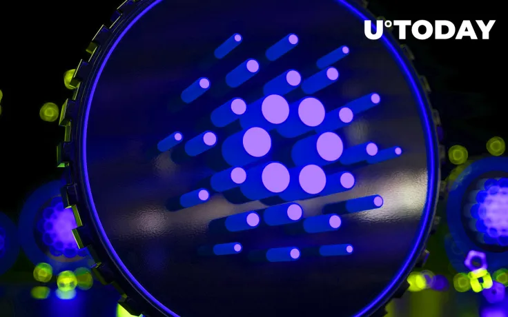 Cardano Transaction Fees Are at 100% Increase, Could It Become Problem in Future?