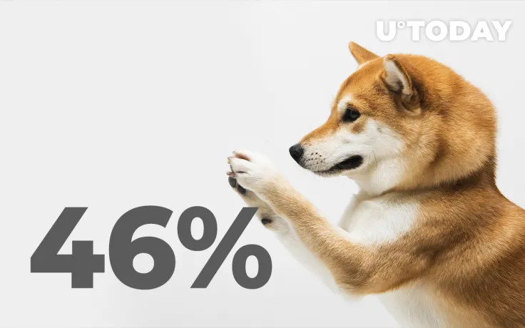 Shiba Inu's Profitability Rises to 46% as Expectations for Future Announcements Increase