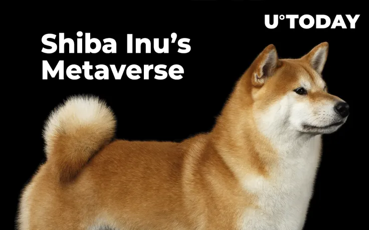 Dogecoin Co-Founder Harshly Criticizes Shiba Inu’s Metaverse