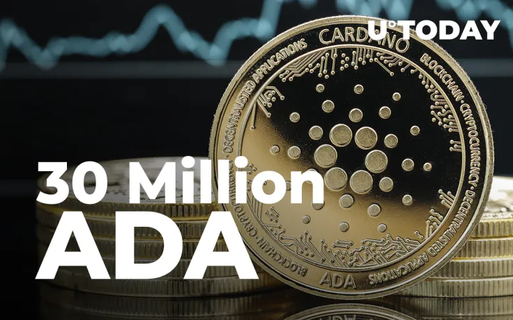 30 Million ADA Redistributed as Cardano-Based NFT Marketplace Reaches New Milestone
