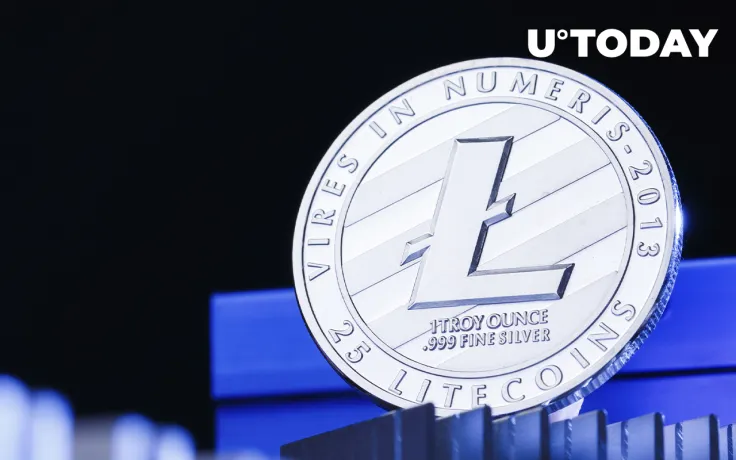 Litecoin Sees a 100% Rise in Large Transactions as Accumulation by Whales Continues
