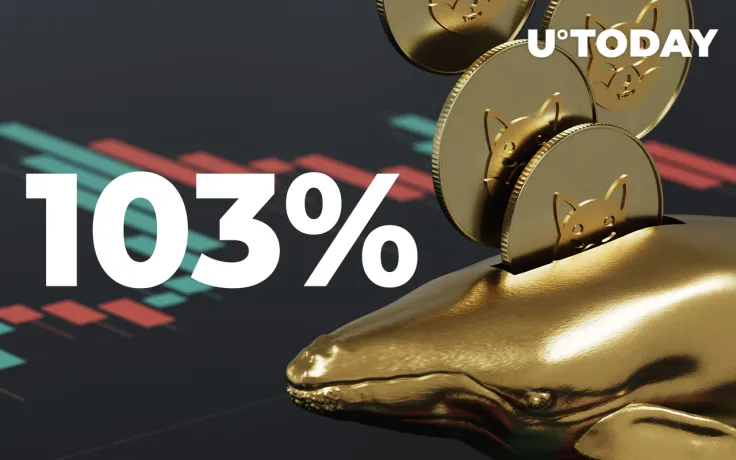 Shiba Inu Whales' Holdings Show 103% Increase in Last 24 Hours