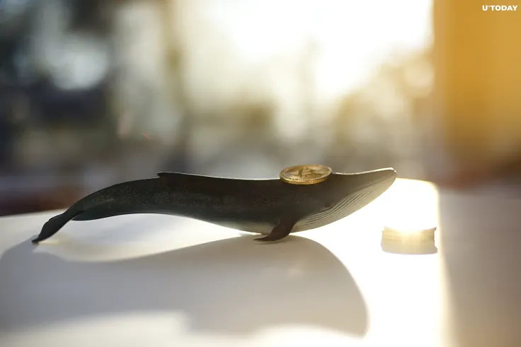 Ancient Bitcoin Wallet Holding 407 BTC Comes to Life