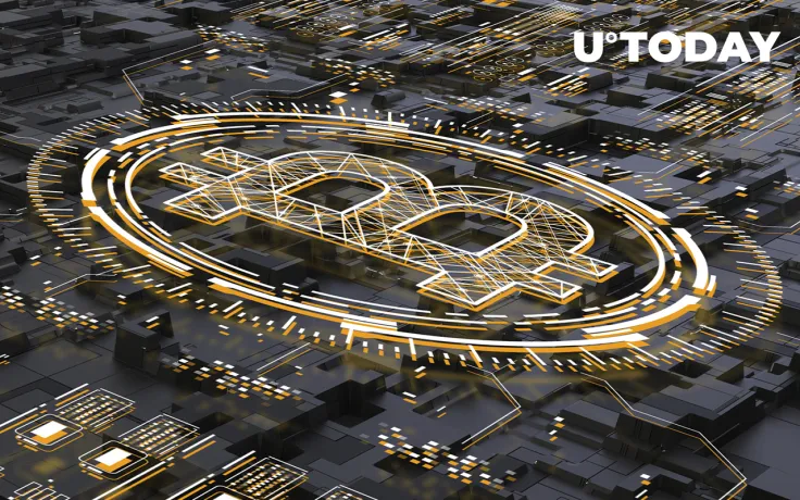 Bitcoiners Have Low Financial Literacy: Research 