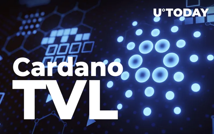 Cardano TVL "Will Fly" When These Conditions Are Met: Cardano Whale