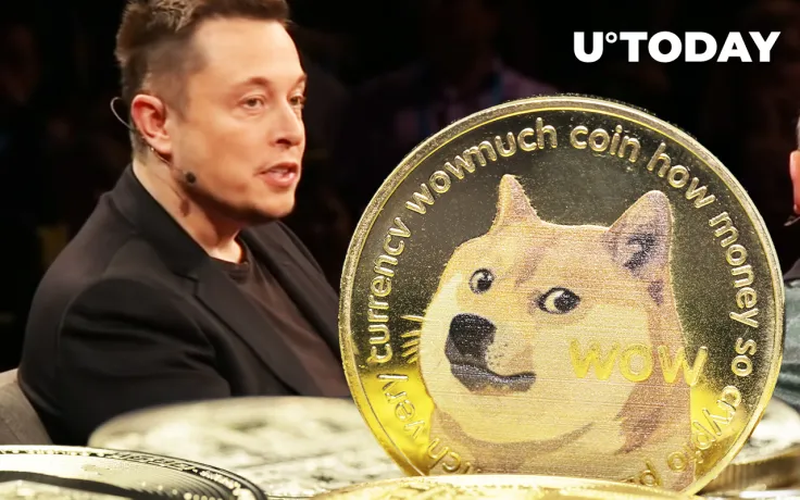 Elon Musk Shares DOGE Video That “Explains Everything”