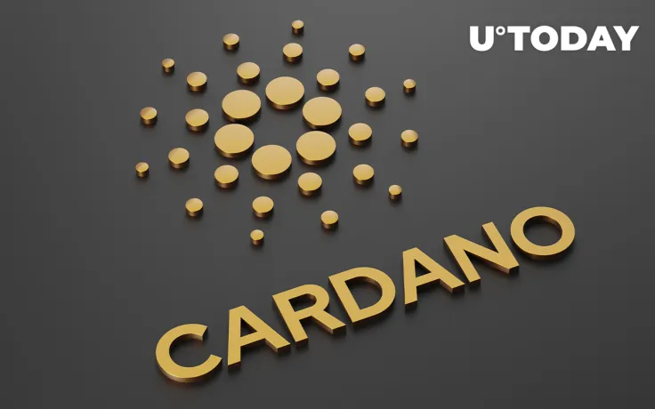 Cardano Addresses With up to 100,000 ADA Now Hold Record-High Percentage of Supply