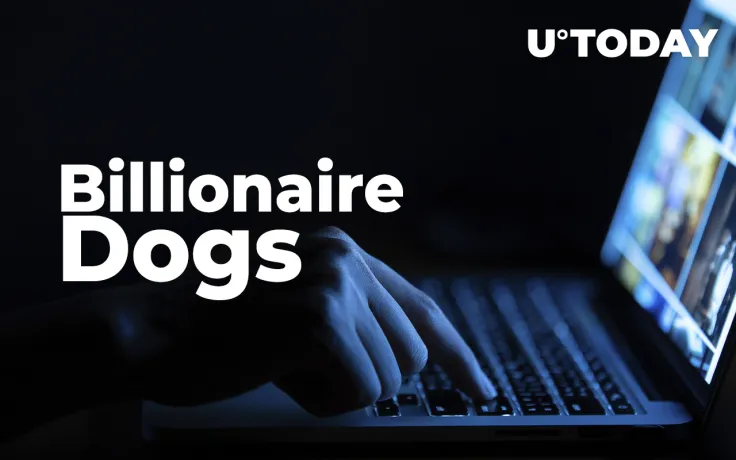 NFT Collection Billionaire Dogs Promoted by Popular French Influencer Scammed Users, 100% of Funds Stolen