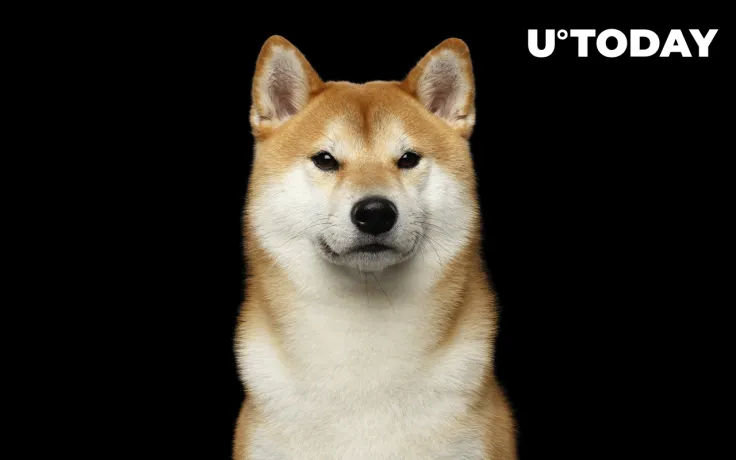 Shiba Inu Reaches New Milestone as Whales Increase Transactions by 75%