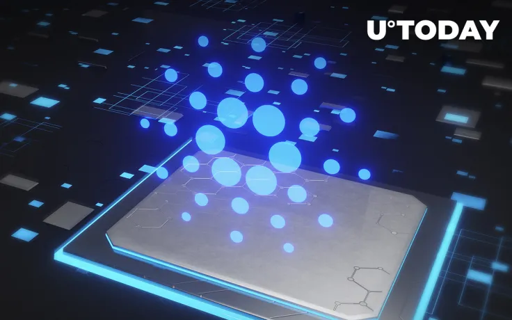 Cardano Marks New ATH with Number of Holders Reaching 5.1 Million