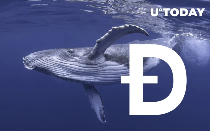 Dogecoin Whales Increase Transactions by 126% as DOGE Enters Profit-Taking