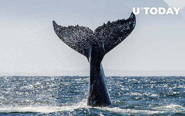 Whales Taking "Best Buying Opportunities" as Stablecoins Transactions Spike: Santiment