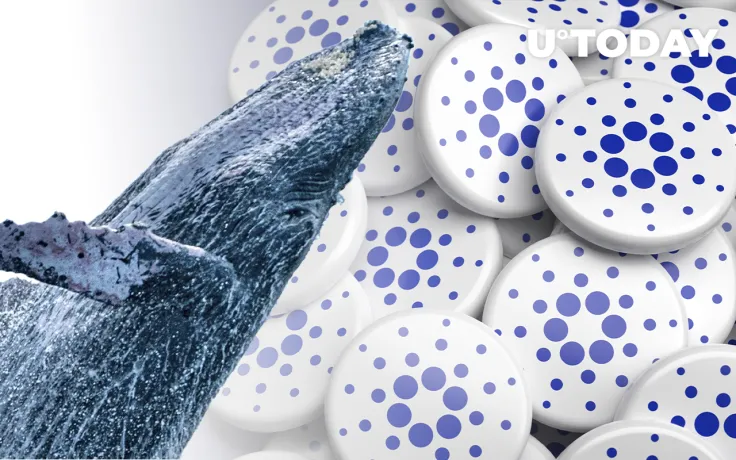 Cardano Dominance Drops, This Might Be Gamechanger, According to ADA Whale