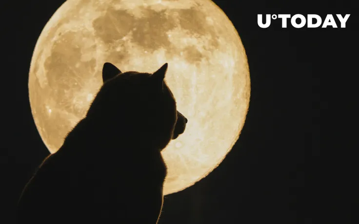 Shiba Inu Returns as Whales' Biggest Holding, $1.45 Billion Worth Now Held by Top 1,000 Wallets