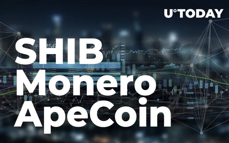 SHIB, Monero, ApeCoin Are Rallying Amid Crypto Market Bloodbath: Details