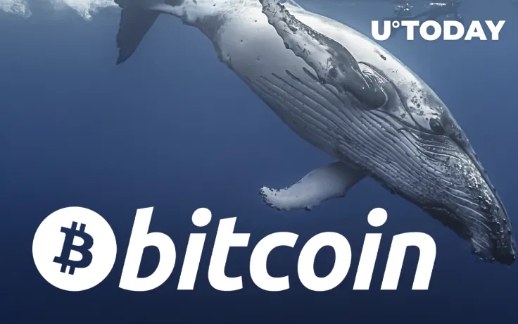 6,800 Bitcoins Shifted to Cold Storage from Coinbase As Price Drops Below $40,000