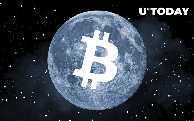 Crypto Companies Have Attracted Massive Amount of Capital in 2022