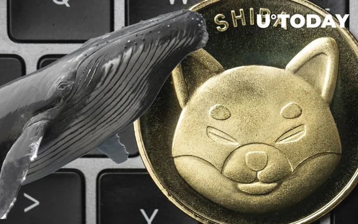 As Shiba Inu Rallies by 20%, Whale Purchases 775 Billion Tokens