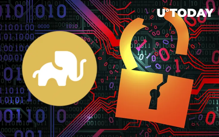 Elephant Money DeFi Hacked, Are Funds SAFU?