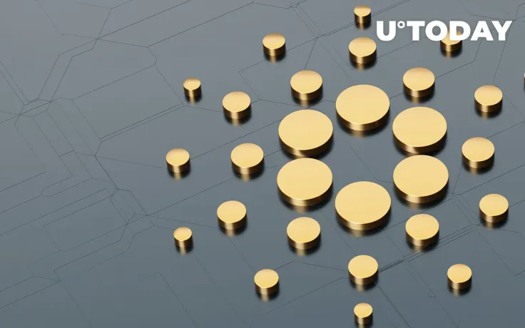 Cardano Sees Nearly $50 Million Inflow into DeFi Within 24 Hours Despite Price Drop