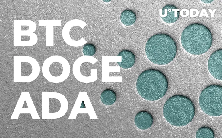 Cardano Founder Aims to Create Network Cross Chain for BTC, DOGE and ADA