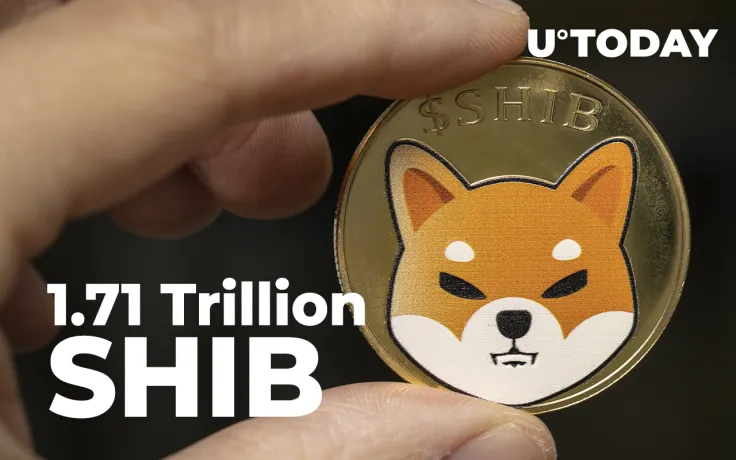 1.71 Trillion SHIB Grabbed by Whales Over Past Week: WhaleStats