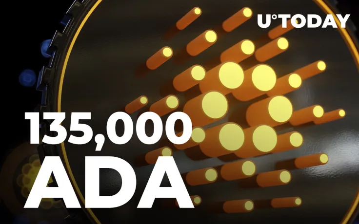 Cardano-Based NFT Piece Goes for Record-Breaking 135,000 ADA