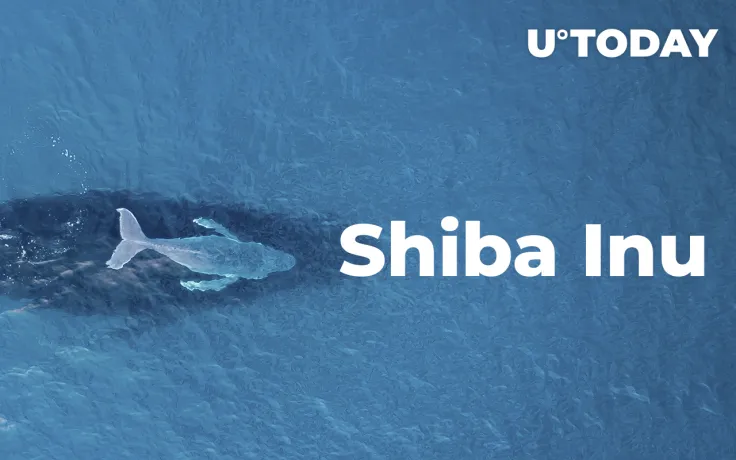 3 Reasons Why Some Ethereum Whales Constantly Buy Shiba Inu Tokens