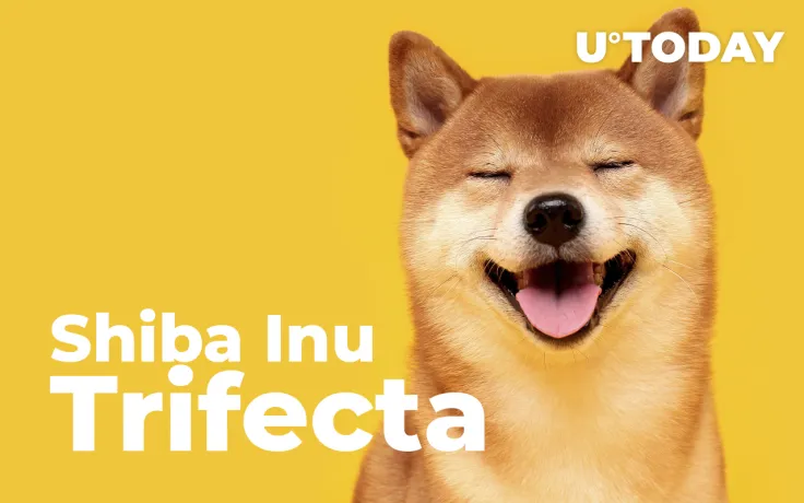 Shiba Inu Trifecta Now Available on This Singapore Based Exchange: Details