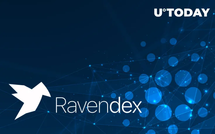 Ravendex Apologizes to Cardano Community, Here's Why