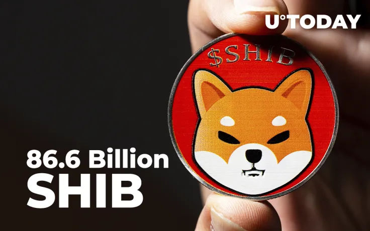 86.6 Billion SHIB Acquired by Whale, Who Grabbed Almost 2 Trillion SHIB in April