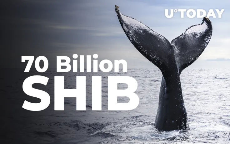 Massive 70 Billion SHIB Purchase Made by This Whale
