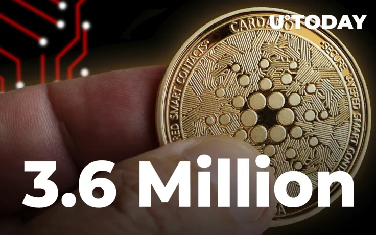 Cardano's Number of Holders Exceeds 3.6 Million as ADA Reaches Year's Bottom