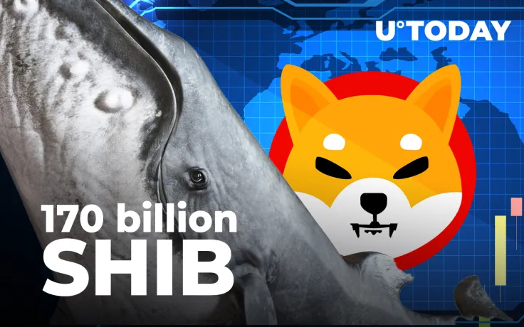 170.5 Billion SHIB Bought by These Whales in Past 2 Days: Report