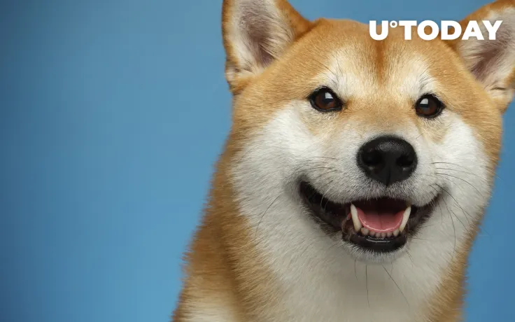 SHIB, DOGE Now Accepted by Global Real-Estate Company for Rent Payments: Details