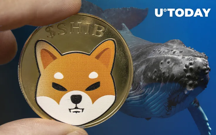 Whales Holding 1.19 Trillion SHIB Buy Trendy Coins, But This Investor Sticks to Shiba