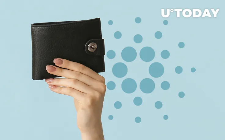 Cardano Wallet About to Get Major Update, According to IOHK Weekly Development Activity: Details