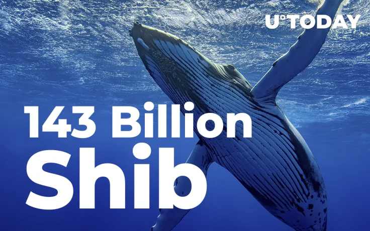 This Whale Buys 143 Billion Shiba, While Already Holding MATIC and LINK