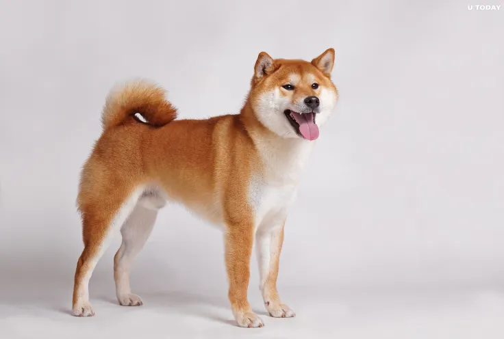 Shiba Inu Becomes Most Used Smart Contract by Largest Ethereum Wallets