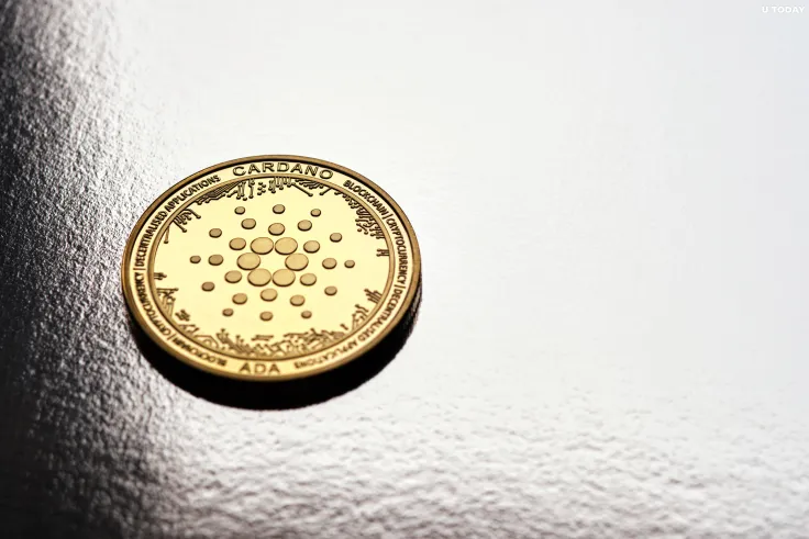 Cardano's Profitability Remains Extremely Low, But Whales Are Still Accumulating Asset Actively