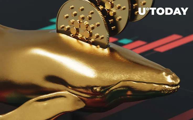 Cardano (ADA) Whales Gained Over 190 Million ADA Since March: Details