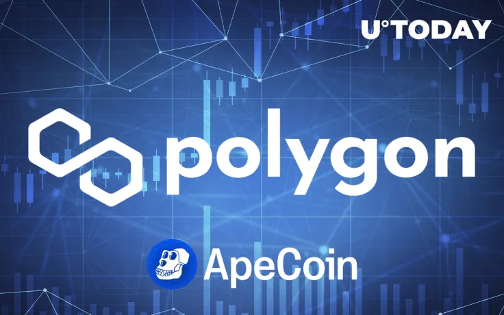 Polygon Now Supports ApeCoin with access to 19,000 dApps
